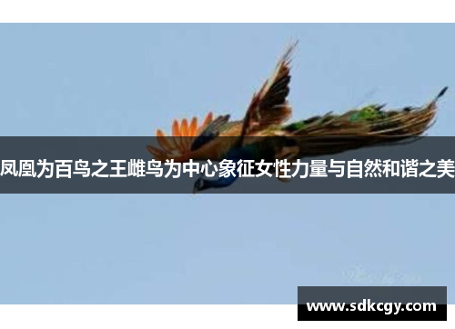 凤凰为百鸟之王雌鸟为中心象征女性力量与自然和谐之美