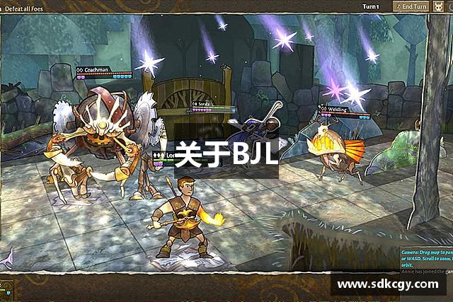 关于BJL